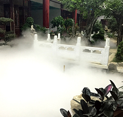 冷雾雾森-012